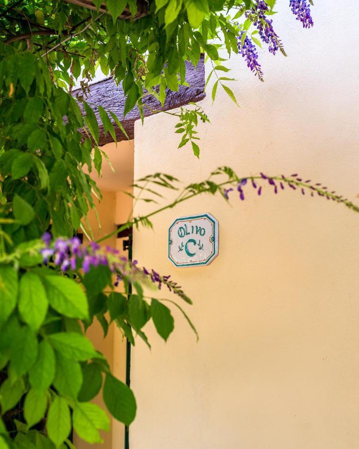 Agriturismo La Fonte Bevagna Eksteriør billede